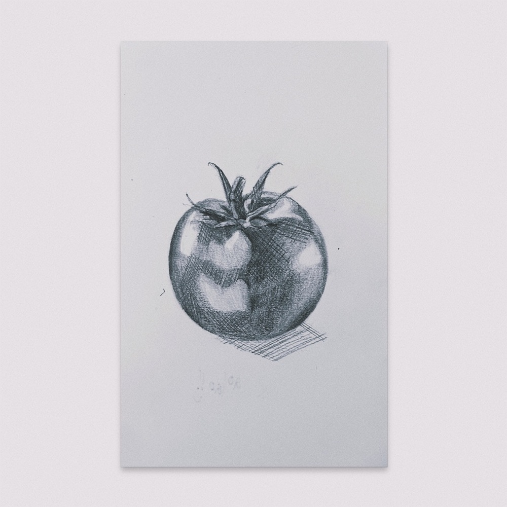original graphite pencil realism crosshatching traditional artwork tomato​​​​​